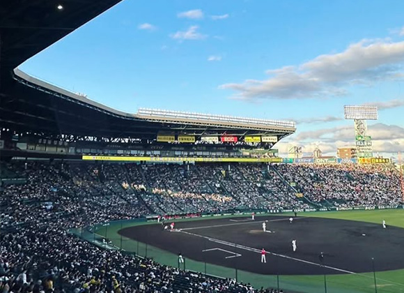 野球観戦